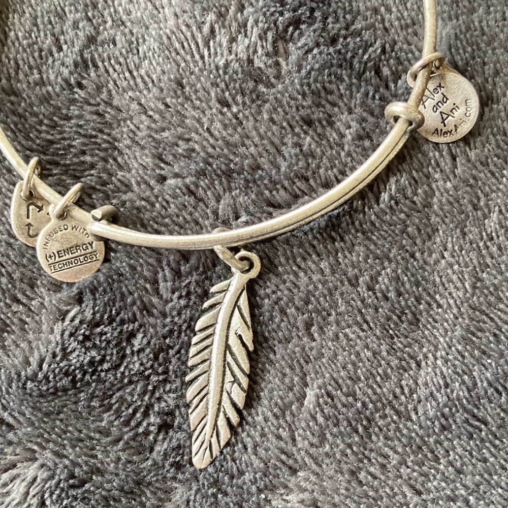Alex and Ani charm bangle bracelet